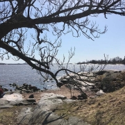 Kevät näkyy Kaivarissa ja sen merimaisemassa