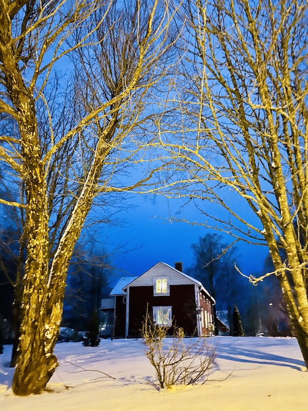 Punainen puutalo pellolla koivujen keskellä.