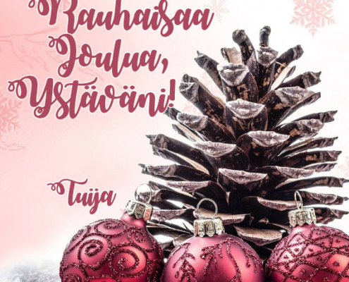 Joulukorttikuva kävystä ja joulupalloista.