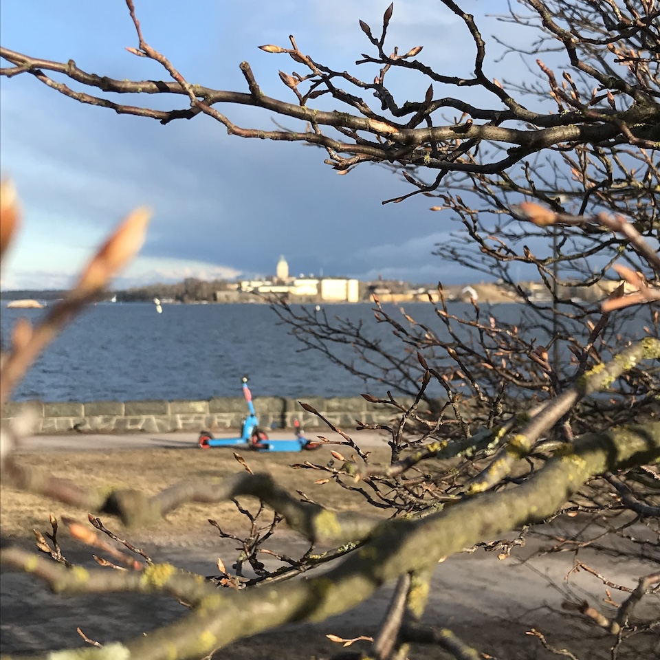 Myöhäinen aamu ja näkymä Suomenlinnaan lehtisilmujen lomasta.