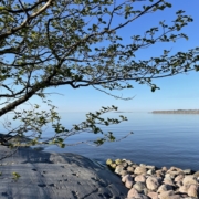 Aamuinen tyyni merenpinta ja alkava kesä.