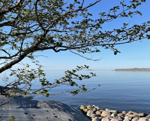 Aamuinen tyyni merenpinta ja alkava kesä.