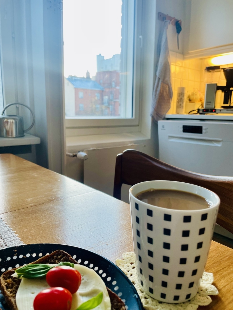 Näkymä oman kodin keittiön ikkunasta.