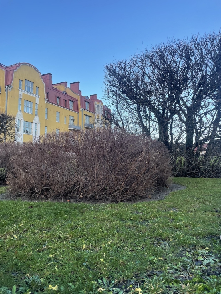 Vanhan Eiran jugendtalot kesäisessä talviasussa eli ei lunta, vaan vihreä nurmikko.