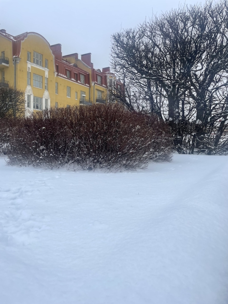 Vanhan Eiran jugendtaloja talviasussa.