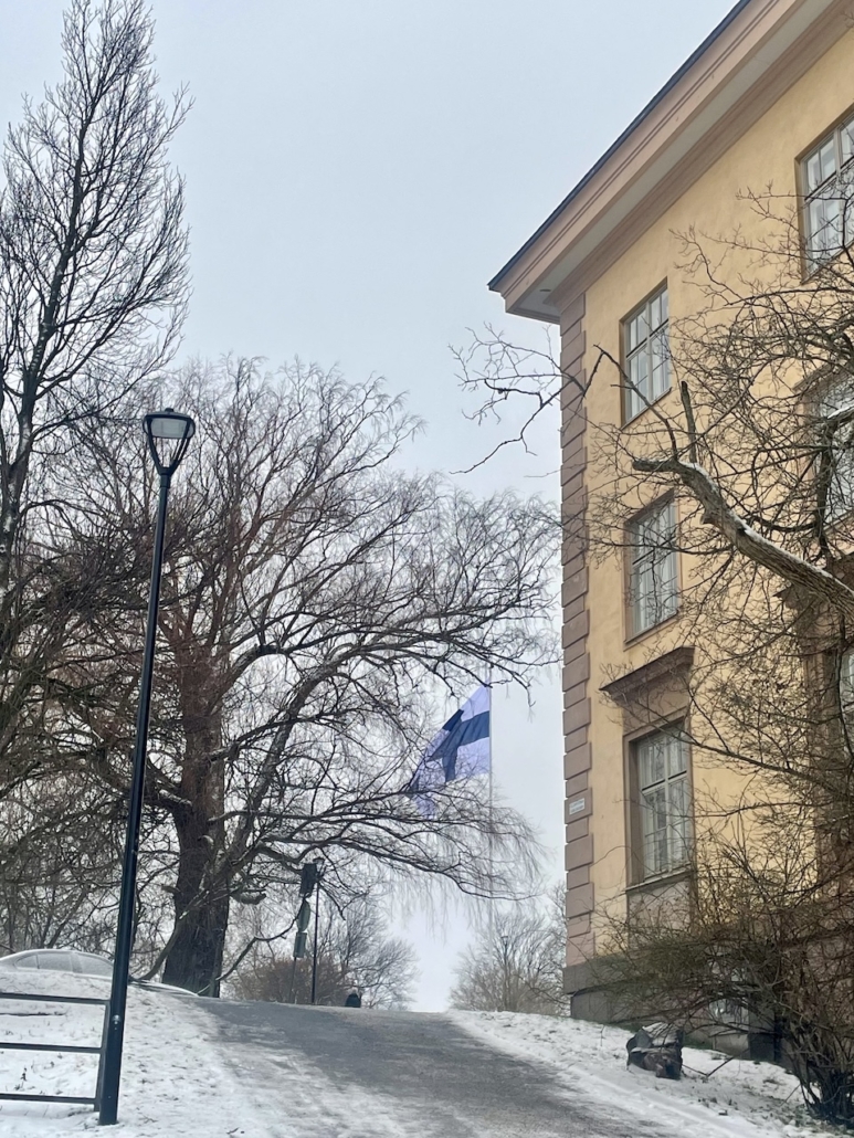 Suomen lippu tangossa Kalevalan päivänä.