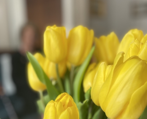 Keltaiset tulppaanit ja hahmo taustalla.