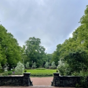 Eiranpuiston vihreyttä.