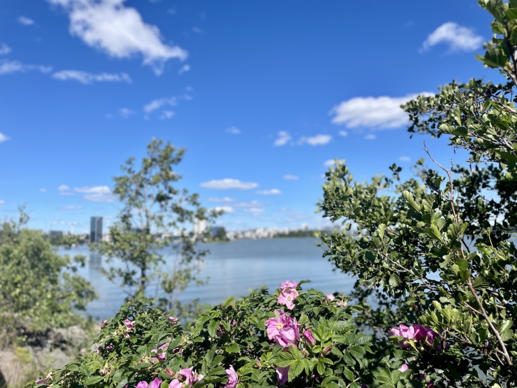 Keilaniemen maisema pyöräreitin varrelta.