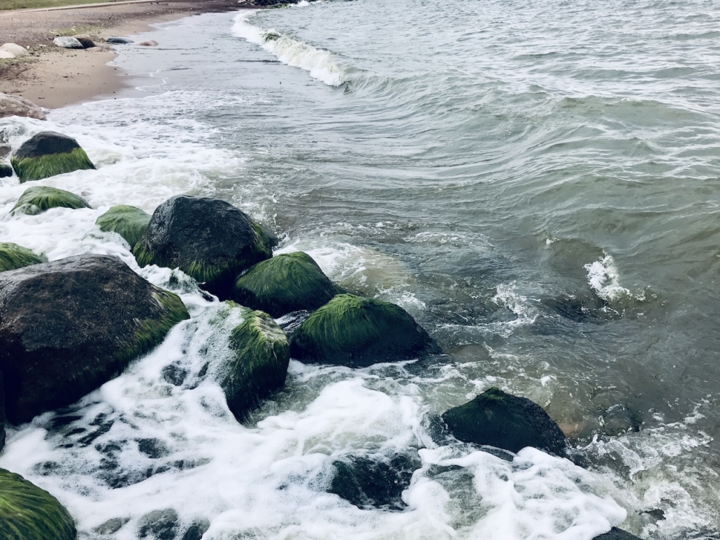 Meren vaahtoavat aallot lyövät vihreään levään peittyneisiin rantakiviin.