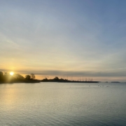 Aamuinen merimaisema ja vedessä näkyvät joutsenet.