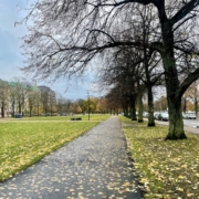 Syksyinen puistomaisema 1. marraskuuta 2025.