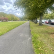 Syksyinen puistomaisema 4. lokatuuta 2025.