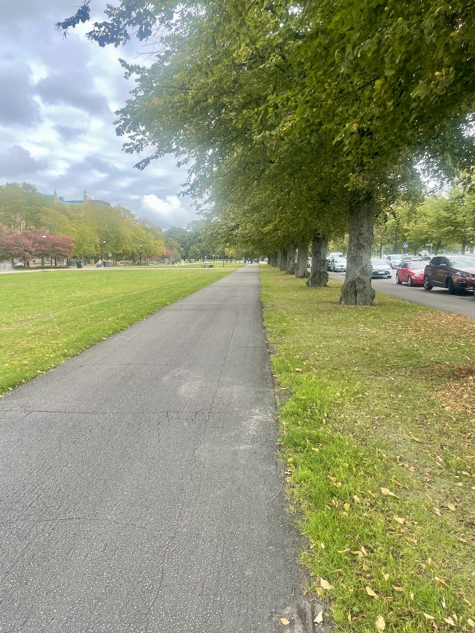 Syksyinen puistomaisema 4. lokatuuta 2025.