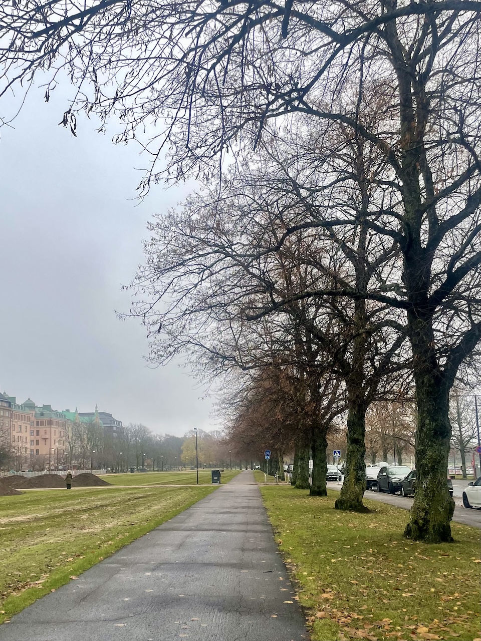 Syksyinen puistomaisema 8. marraskuuta 2025.