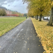 Syksyinen puistomaisema 16. lokakuuta 2025.