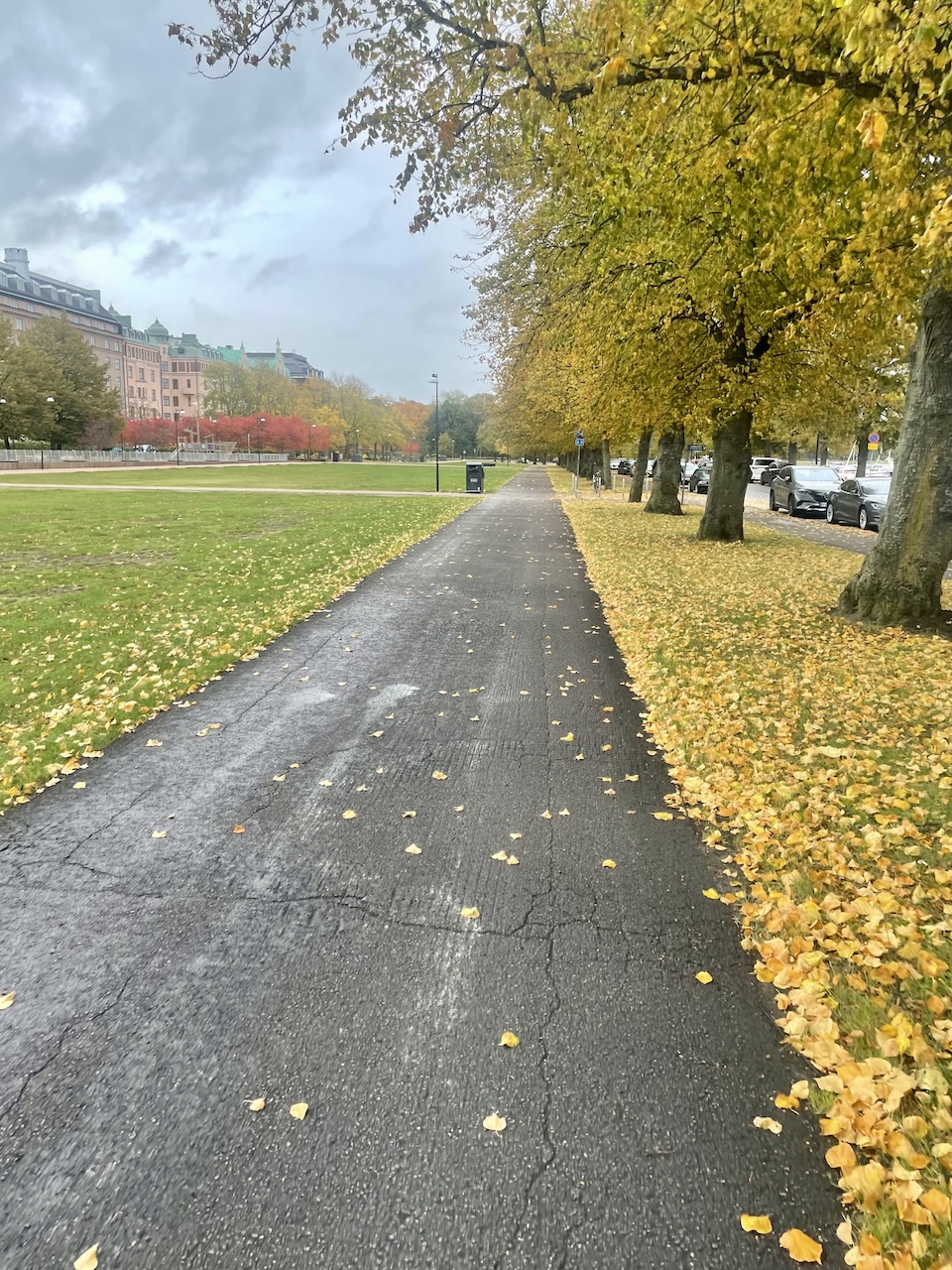 Syksyinen puistomaisema 16. lokakuuta 2025.