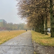 Syksyinen puistomaisema 25. lokakuuta 2025.