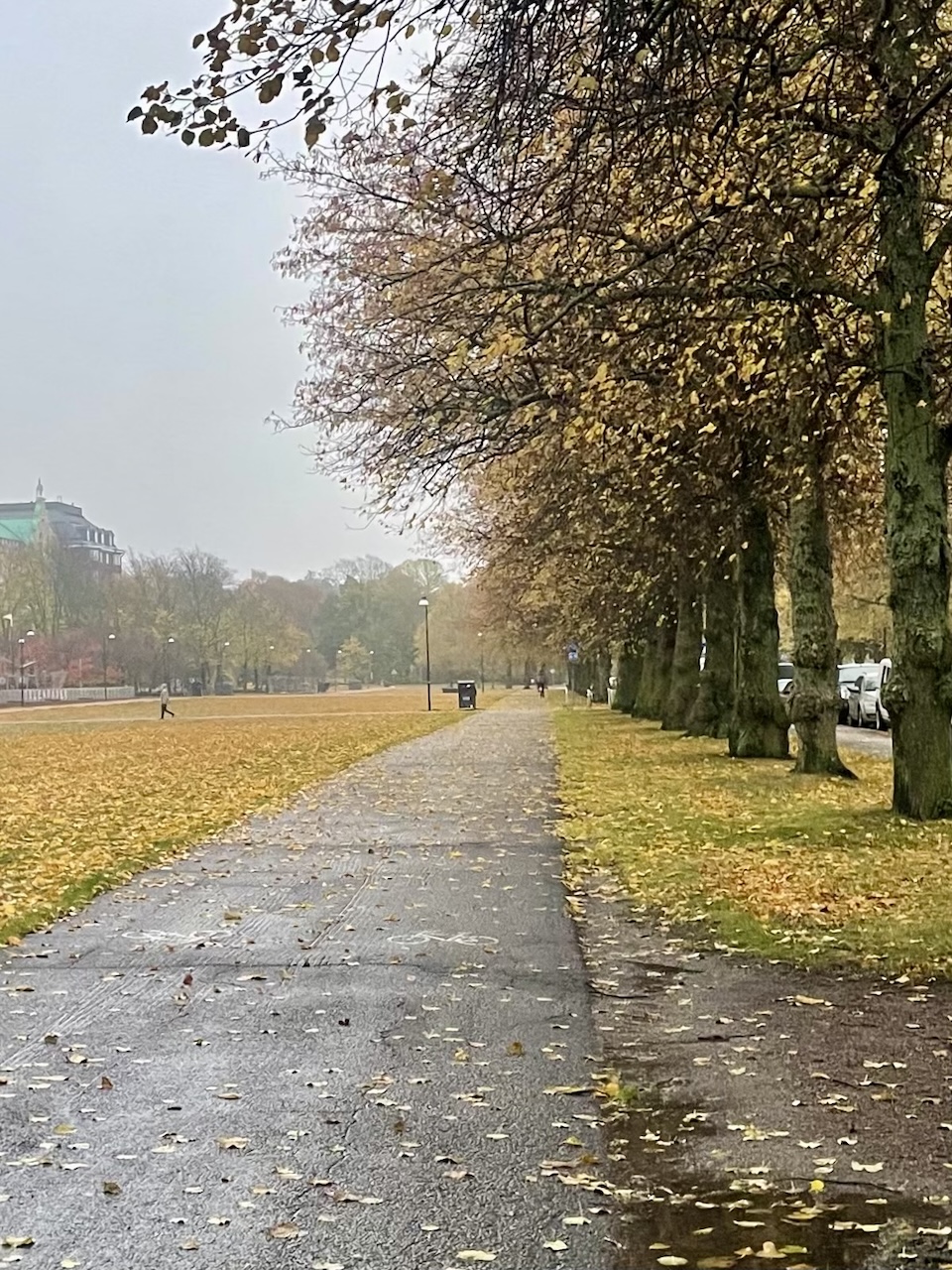 Syksyinen puistomaisema 25. lokakuuta 2025.