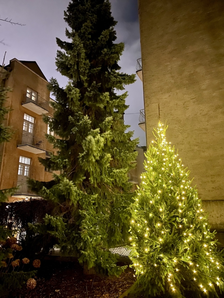 Kotipihan joulukuusi jouluvalaistuksessa.