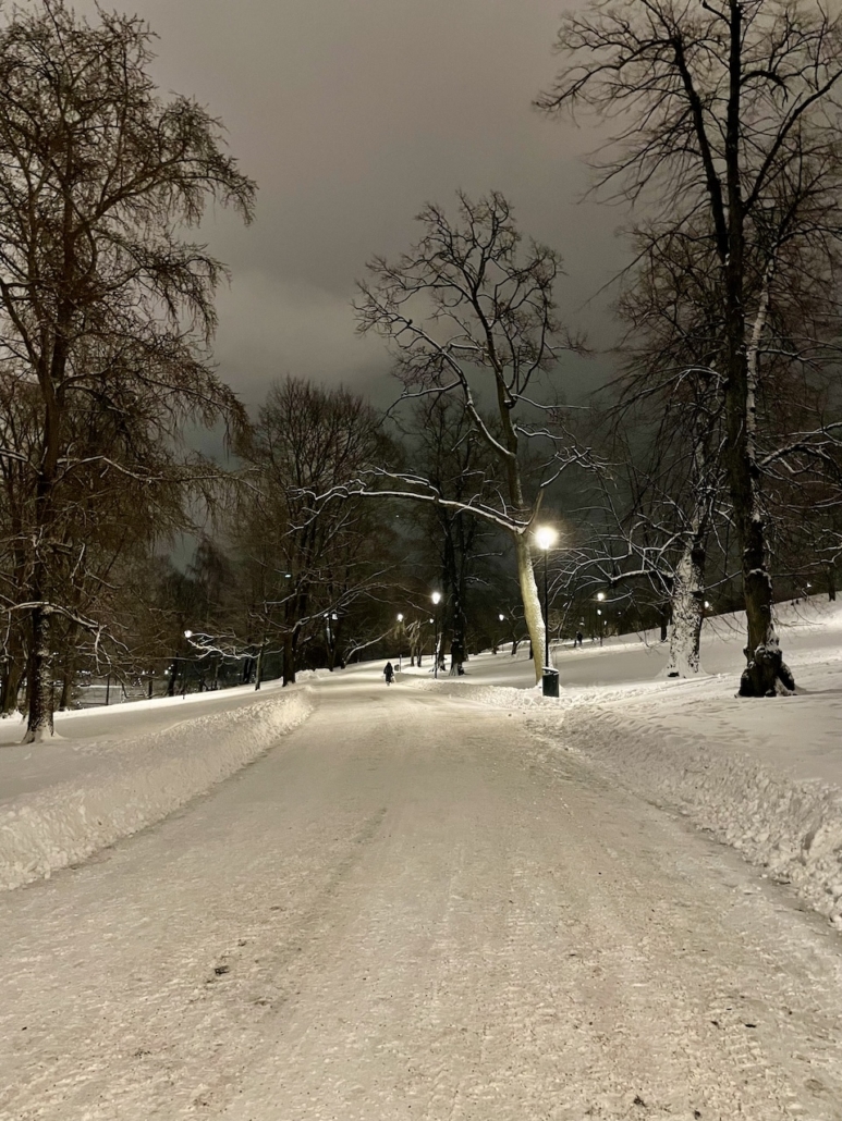 Kävelytie Tähtitorninvuorella.